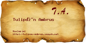 Tulipán Ambrus névjegykártya